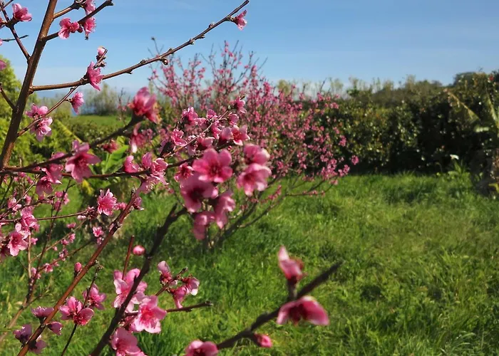 Casa vacanze Casa Da Paz *