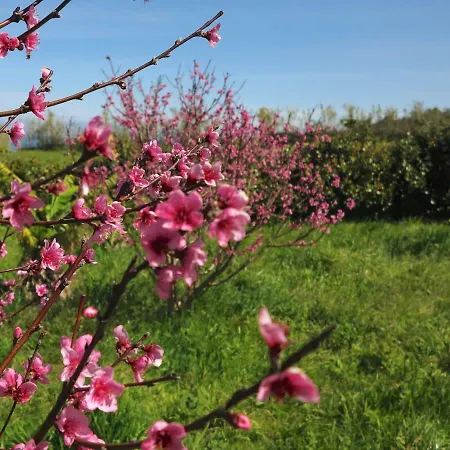 펜션 Casa Da Paz *