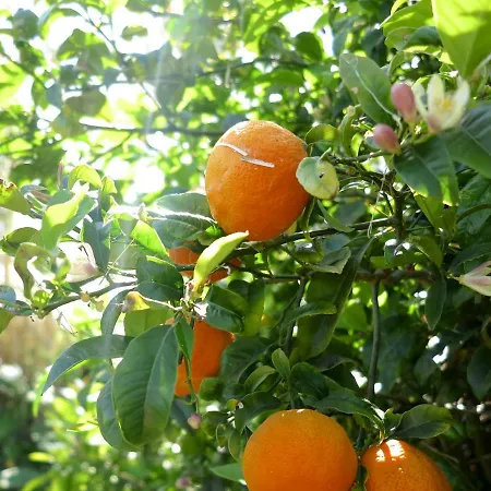 펜션 Casa Da Paz Cedros